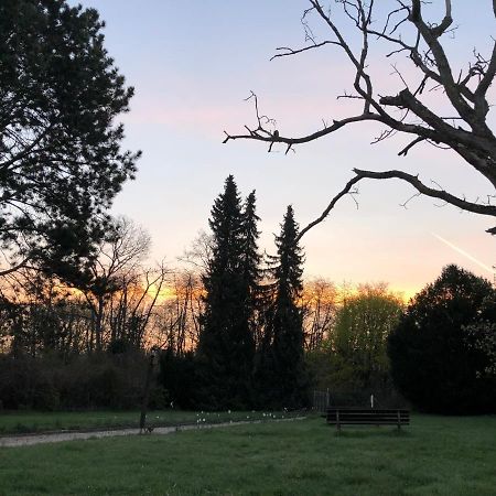 Ferienwohnung Apartment Doppelzimmer In Der Villa Naturpark Rheinblick, Ruhig, Aussicht, Pool Koblenz  Eksteriør billede