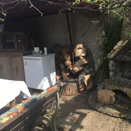 Ferienwohnung Apartment Doppelzimmer In Der Villa Naturpark Rheinblick, Ruhig, Aussicht, Pool Koblenz  Eksteriør billede
