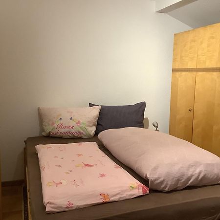Ferienwohnung Apartment Doppelzimmer In Der Villa Naturpark Rheinblick, Ruhig, Aussicht, Pool Koblenz  Eksteriør billede