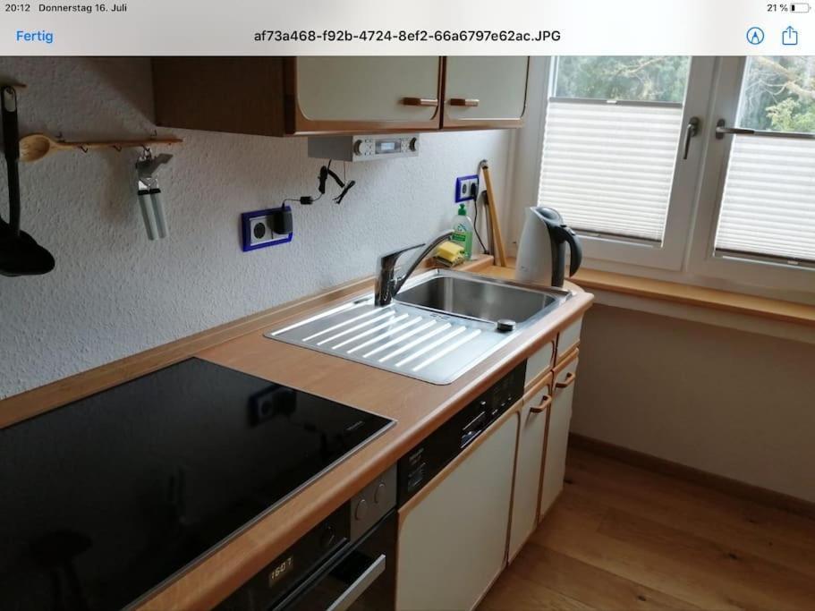 Ferienwohnung Apartment Doppelzimmer In Der Villa Naturpark Rheinblick, Ruhig, Aussicht, Pool Koblenz  Eksteriør billede