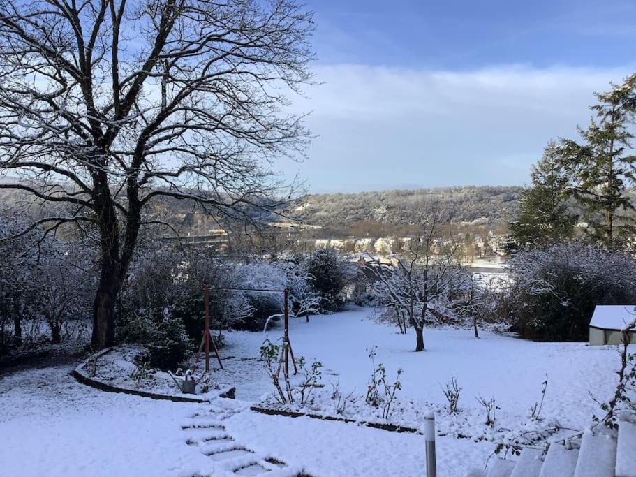 Ferienwohnung Apartment Doppelzimmer In Der Villa Naturpark Rheinblick, Ruhig, Aussicht, Pool Koblenz  Eksteriør billede