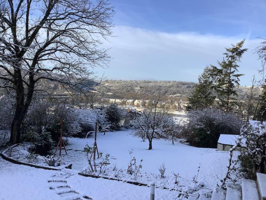 Ferienwohnung Apartment Doppelzimmer In Der Villa Naturpark Rheinblick, Ruhig, Aussicht, Pool Koblenz  Eksteriør billede