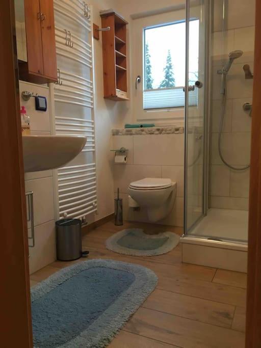 Ferienwohnung Apartment Doppelzimmer In Der Villa Naturpark Rheinblick, Ruhig, Aussicht, Pool Koblenz  Eksteriør billede