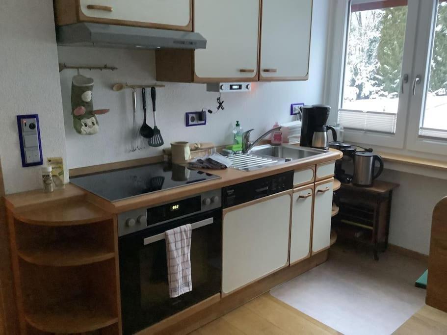 Ferienwohnung Apartment Doppelzimmer In Der Villa Naturpark Rheinblick, Ruhig, Aussicht, Pool Koblenz  Eksteriør billede