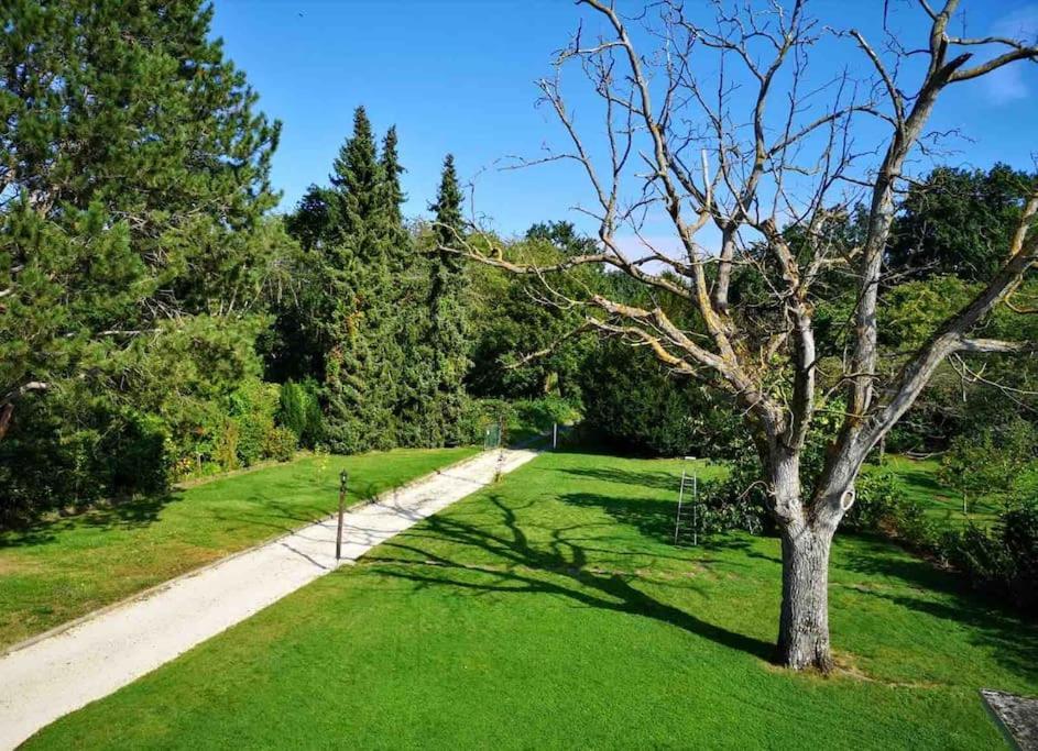 Ferienwohnung Apartment Doppelzimmer In Der Villa Naturpark Rheinblick, Ruhig, Aussicht, Pool Koblenz  Eksteriør billede