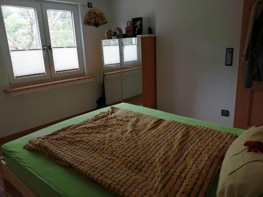 Ferienwohnung Apartment Doppelzimmer In Der Villa Naturpark Rheinblick, Ruhig, Aussicht, Pool Koblenz  Eksteriør billede