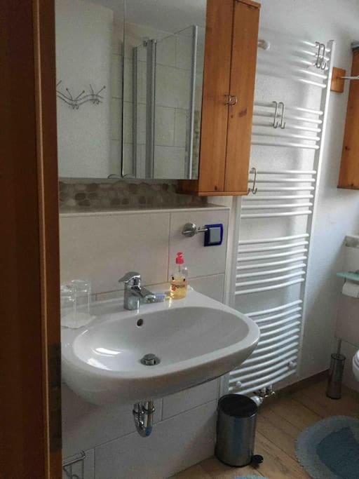 Ferienwohnung Apartment Doppelzimmer In Der Villa Naturpark Rheinblick, Ruhig, Aussicht, Pool Koblenz  Eksteriør billede