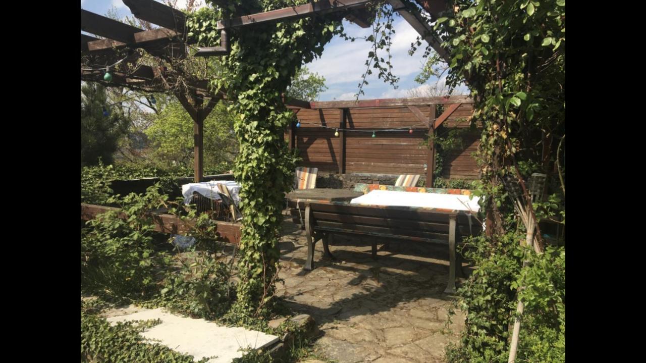 Ferienwohnung Apartment Doppelzimmer In Der Villa Naturpark Rheinblick, Ruhig, Aussicht, Pool Koblenz  Eksteriør billede
